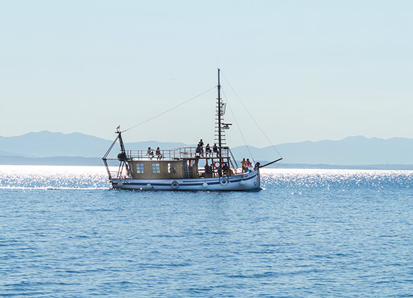 Obnovljena bracera Tornado Blue